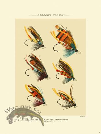 Favorite Flies 04 Salmon